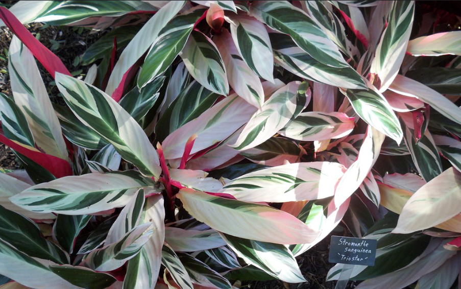 Фото: Javier Alejandro | flickr.com