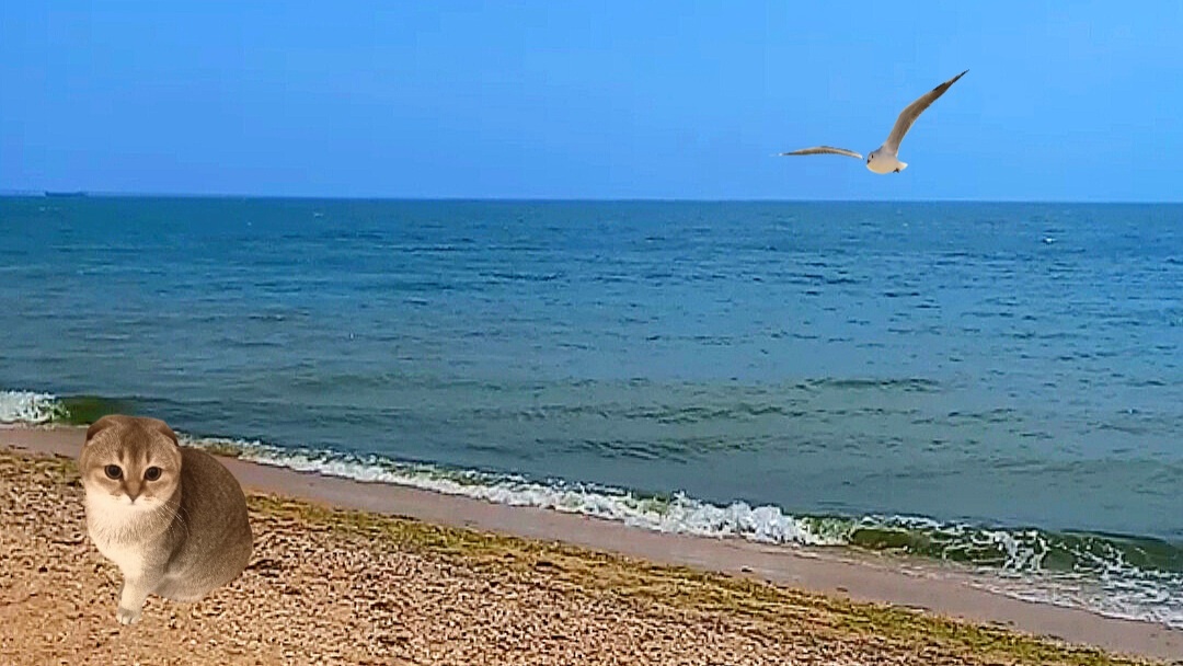 Море!