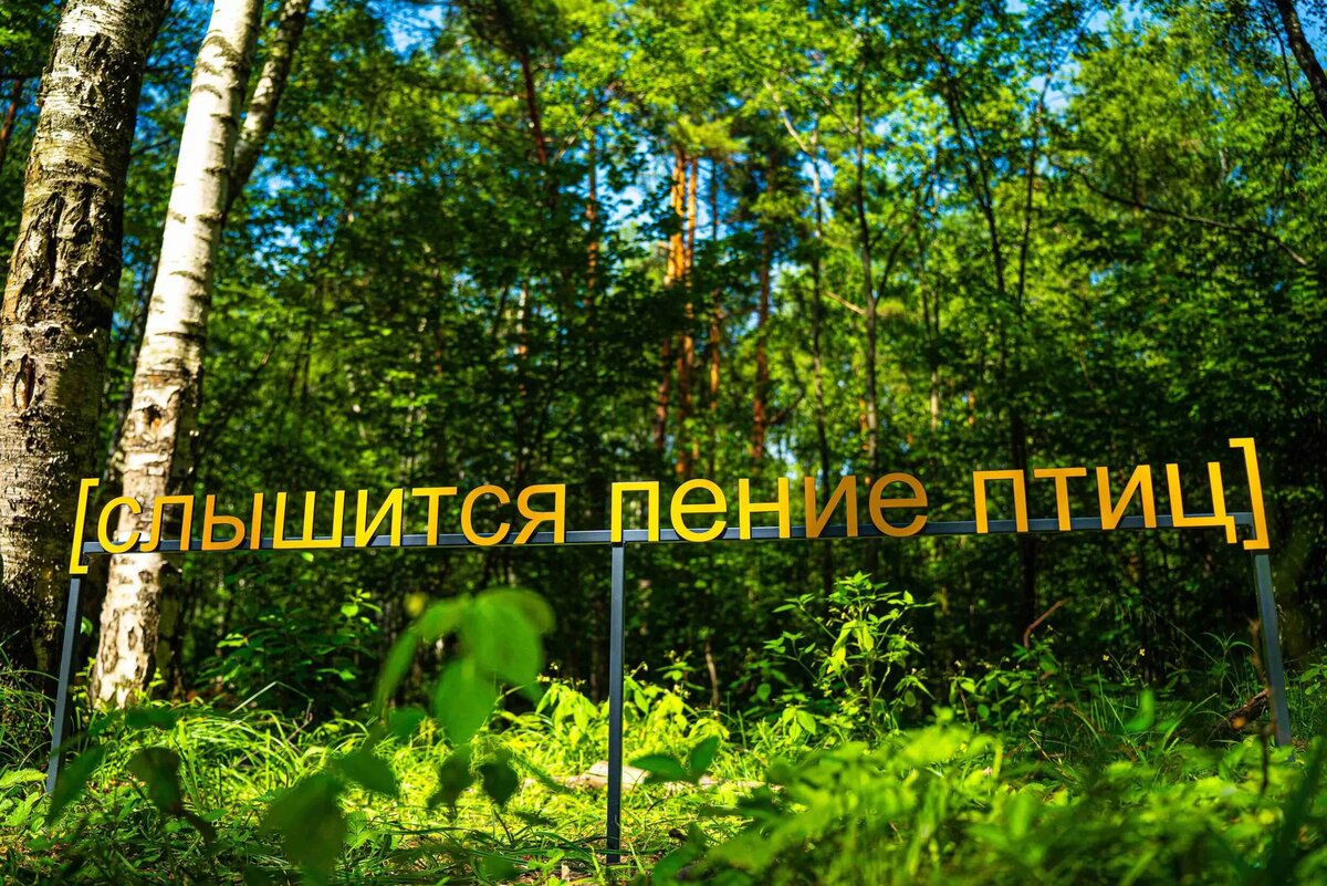 Источник: архив пресс-службы