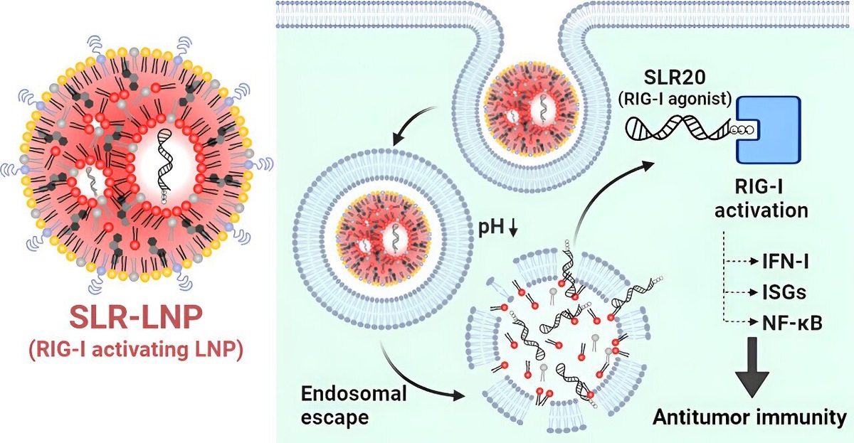    ACS Nano