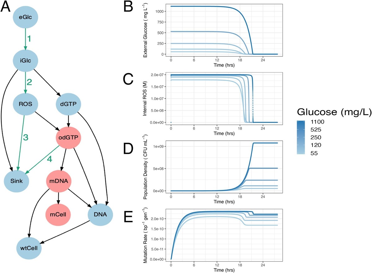    PLOS Biology
