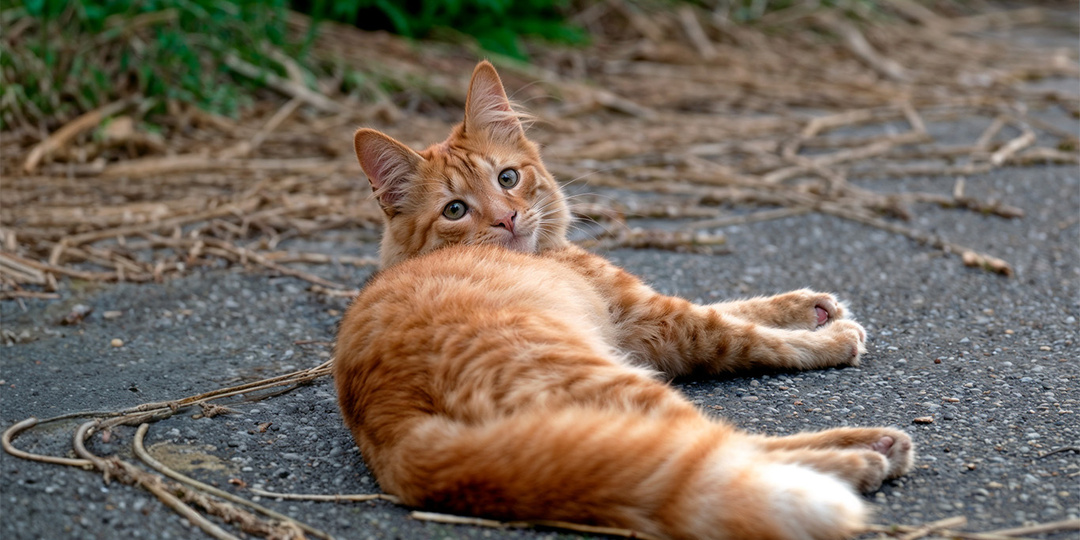 Всем смертям назло