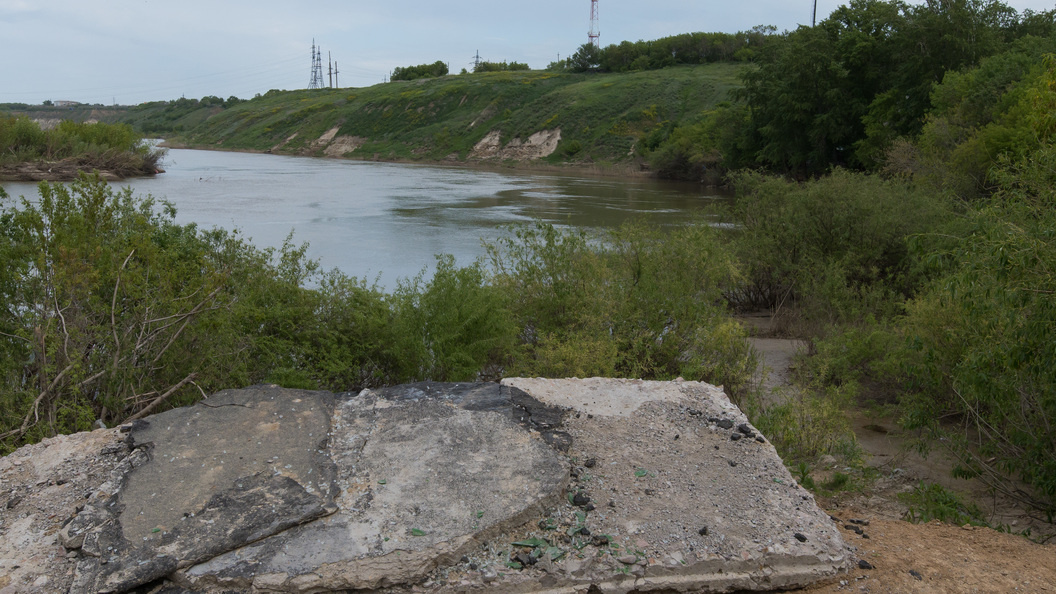    Фото: Dmitry Chasovitin/Globallookpress