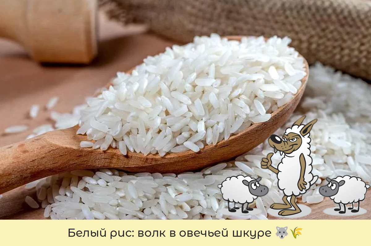 Белый рис: волк в овечьей шкуре 🐺🌾