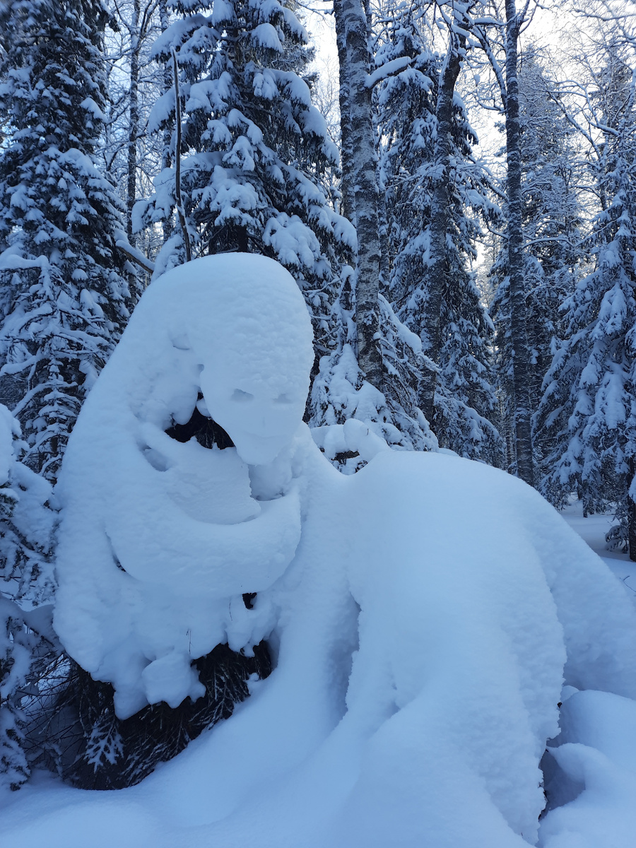 Чего только не увидишь на тропах Таганая