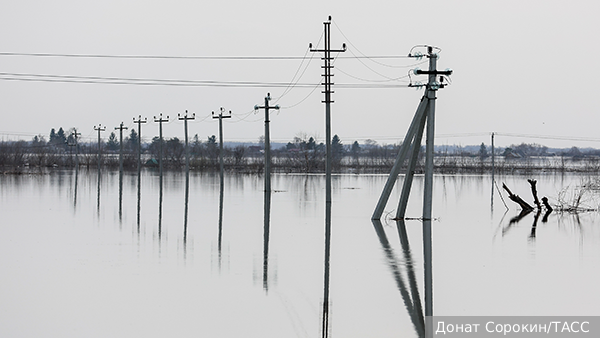     Фото: Донат Сорокин/ТАСС   
 Текст: Дарья Григоренко