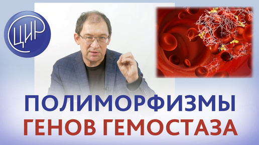 Гены гемостаза. Зачем нам нужно знать полиморфизмы генов гемостаза? И.И. Гузов.