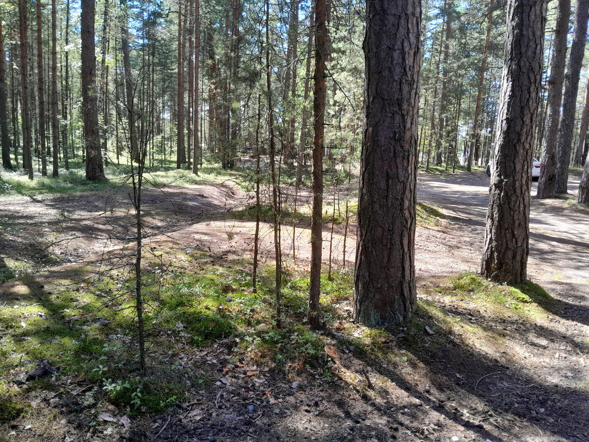 Это парковка