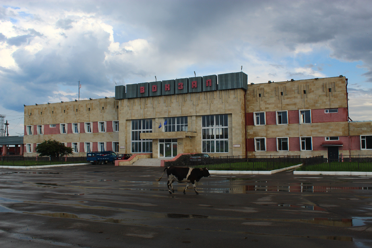 Коровы на привокзальной площади - привычное для этих мест дело.