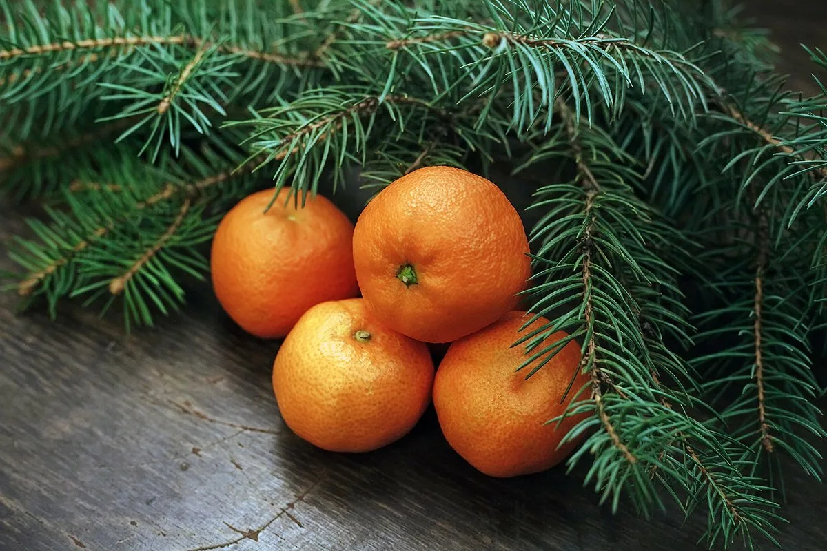 Фото из интернета