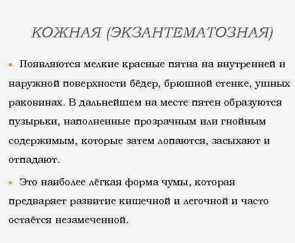 Фотография взята из источника yandex.ru