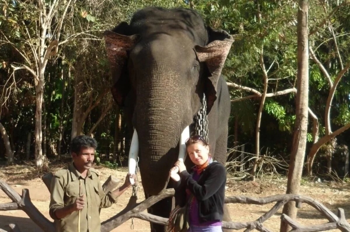    По улицам слона водили.