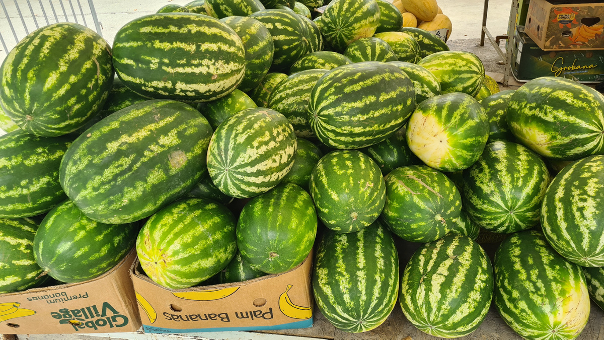 Арбузы 26.07.2024 по 35-45 рублей за кг. Торгуйтесь!)