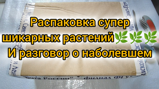 Распаковка супер шикарных растений и разговор о наболевшем