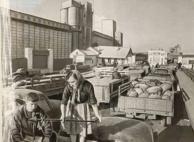 На Кунгурском элеваторе. Принимают зерно нового урожая. 1959 год