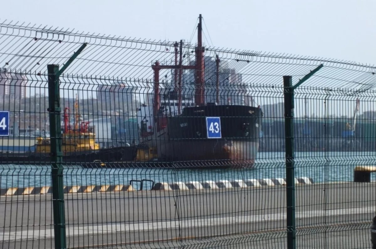    ВМТП теряет прибыль и наращивает долги?