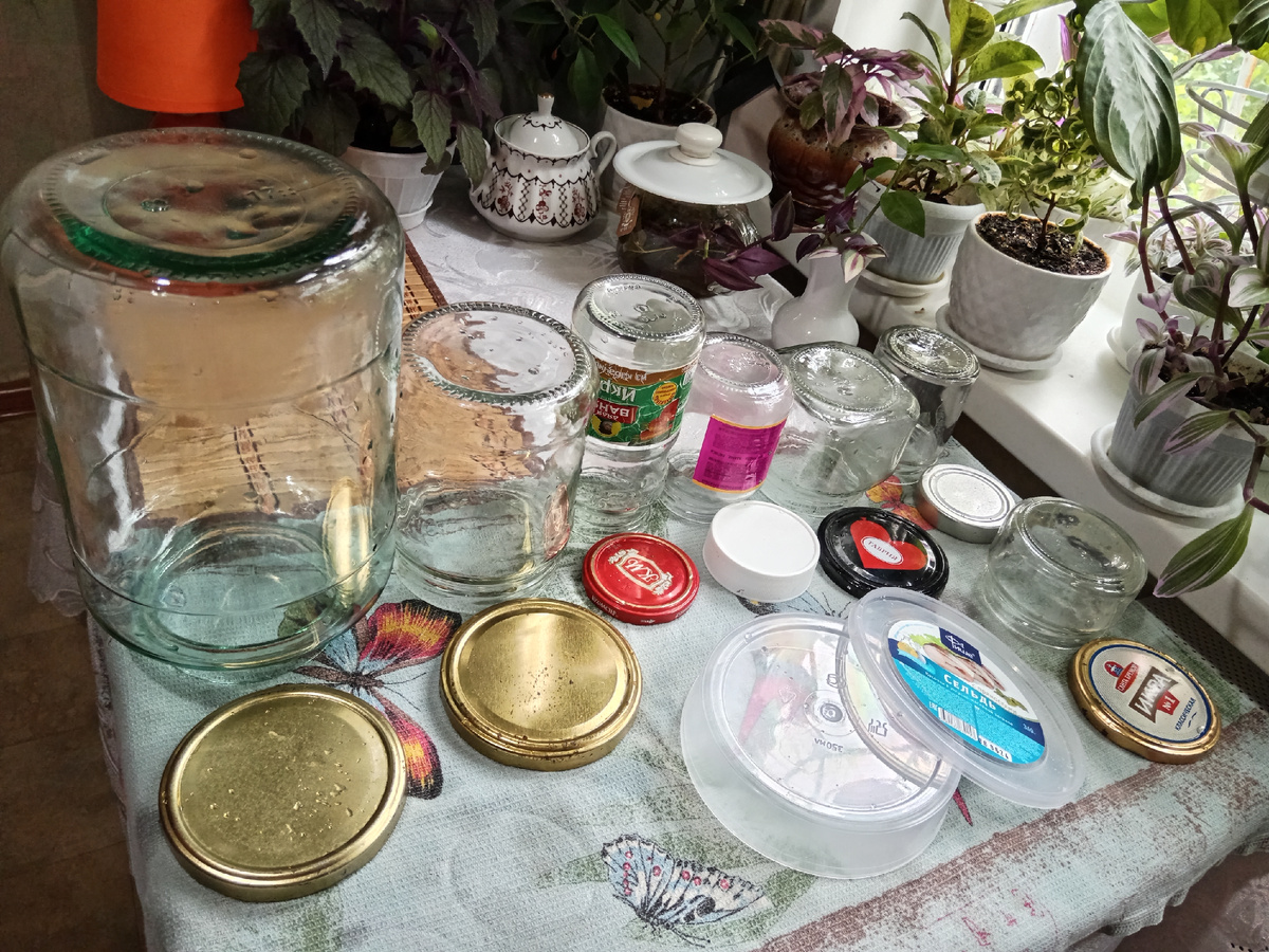 Все будут использованы для заготовок на зиму. 