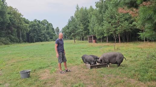 На хуторе работаем в перерывах между дождём. Афганский казан ликвидировал бандитов петухов