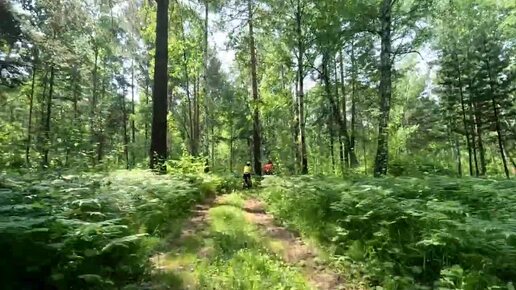 Тренировка в ХСО Подгорный Barbashin Hard 30.06.24