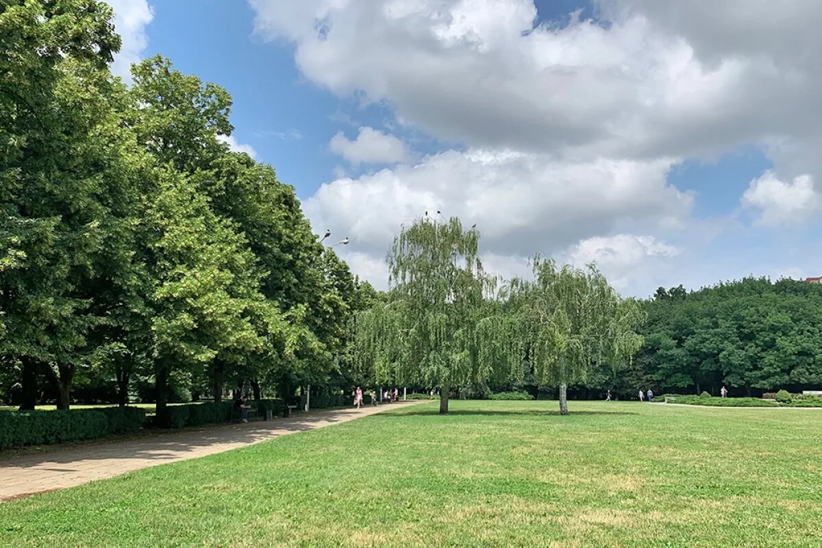    1 и 2 августа краснодарские парки обработают от клещей и комаров