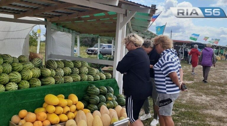    Сладкая полосатая ягода. В Соль-Илецке в продаже появились местные арбузы Марина Шарт