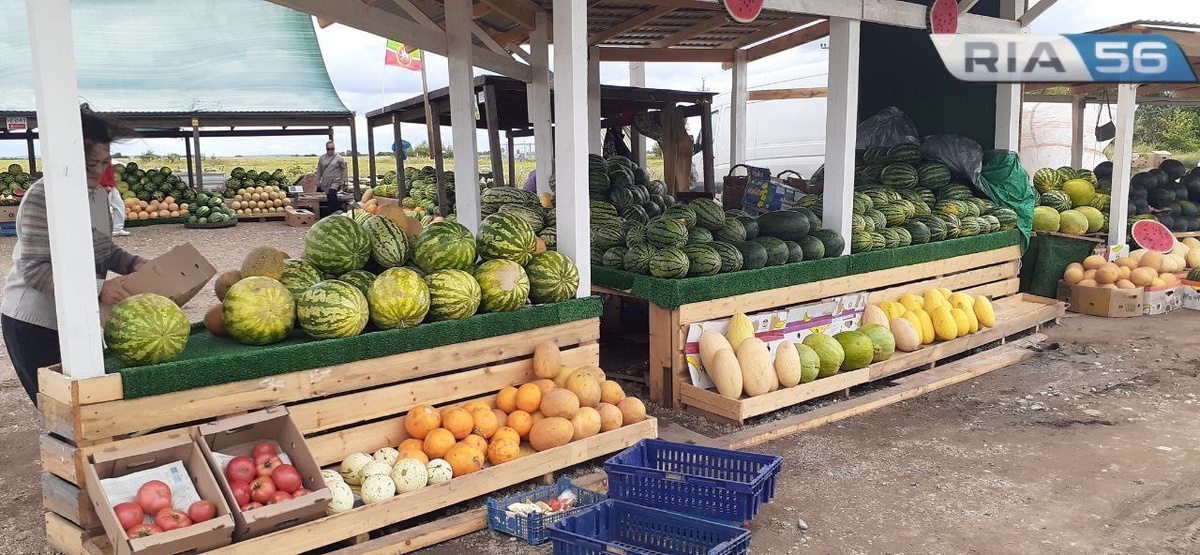    Сладкая полосатая ягода. В Соль-Илецке в продаже появились местные арбузы Марина Шарт