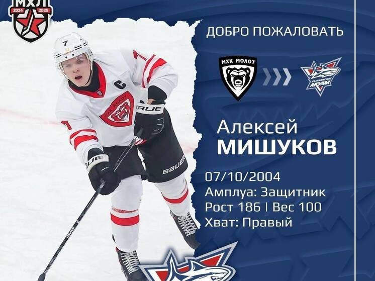     Фото: «Сахалинские акулы»