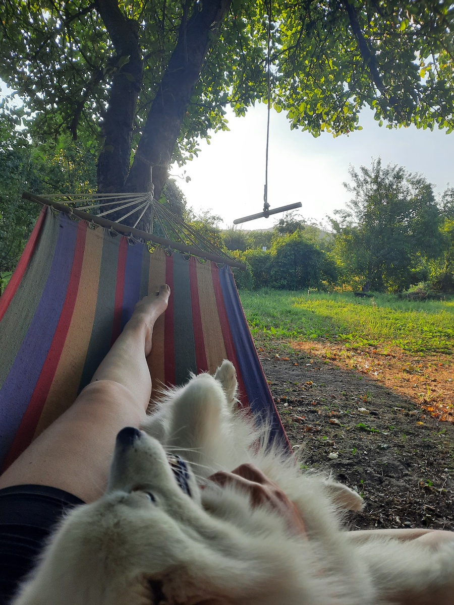 На разгрузе все же предпочитаю ничегонеделание 