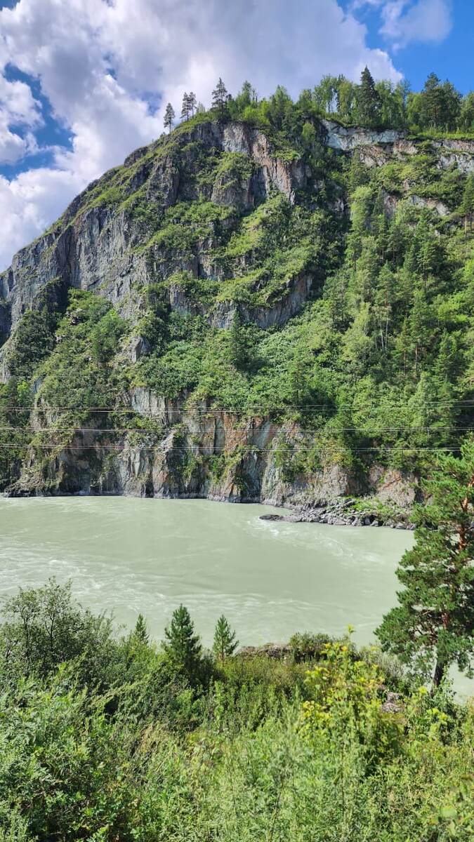 Бирюзовая Катунь😍