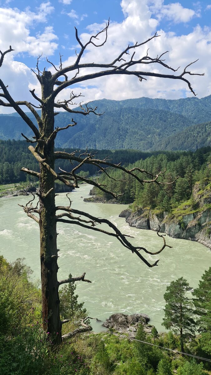 Виды с козьей тропы