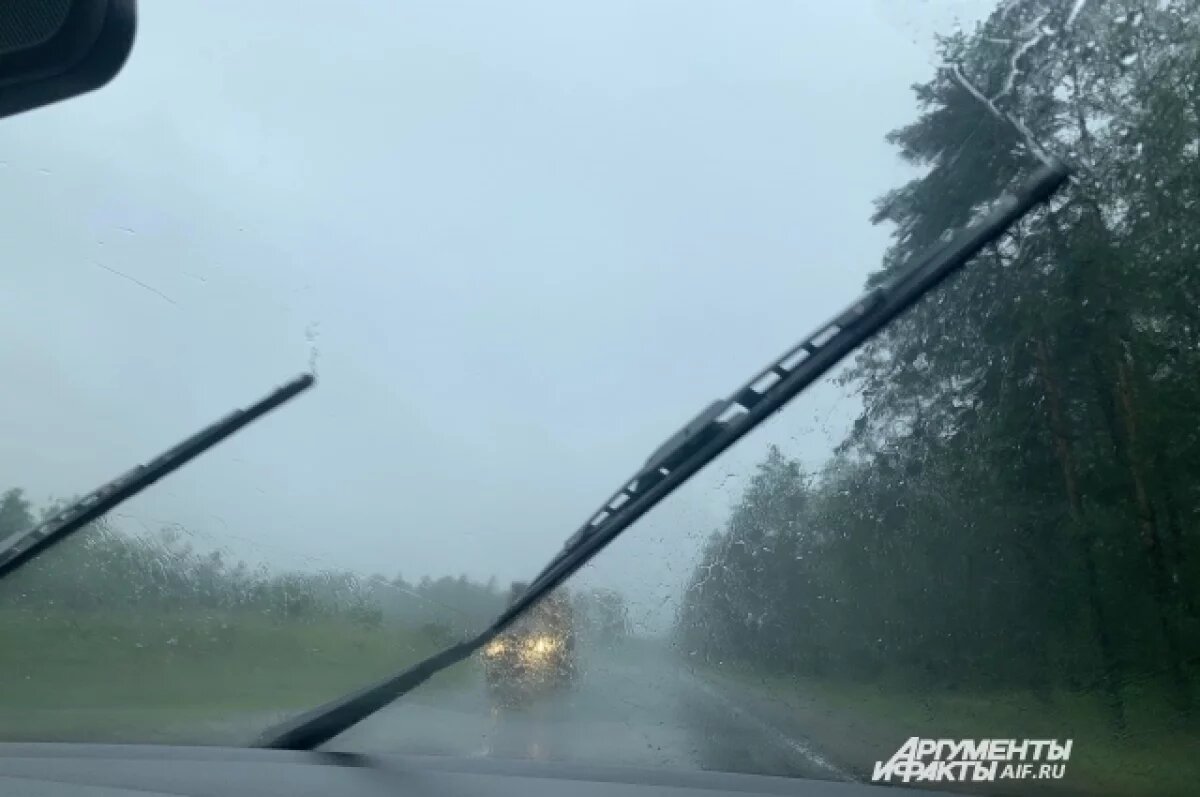    Под Челябинском погиб водитель Lada, потеряв управление на мокрой дороге