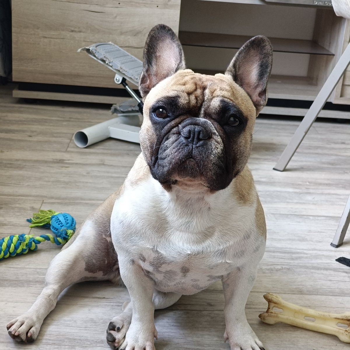 Серьёзная такая сидит. Похожа и на маму, и на папу. Здесь прям вылитый папа, а с боку больше на маму похожа. Похоже, фотки её родителей были правдивые