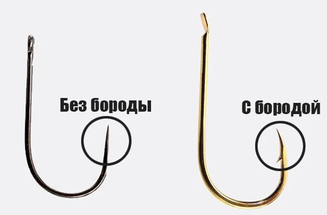 Фото с сайта: https://static16.tgcnt.ru/posts/_0/07/0730ebccc10dc288f3d5764fd5dea8e0.jpg