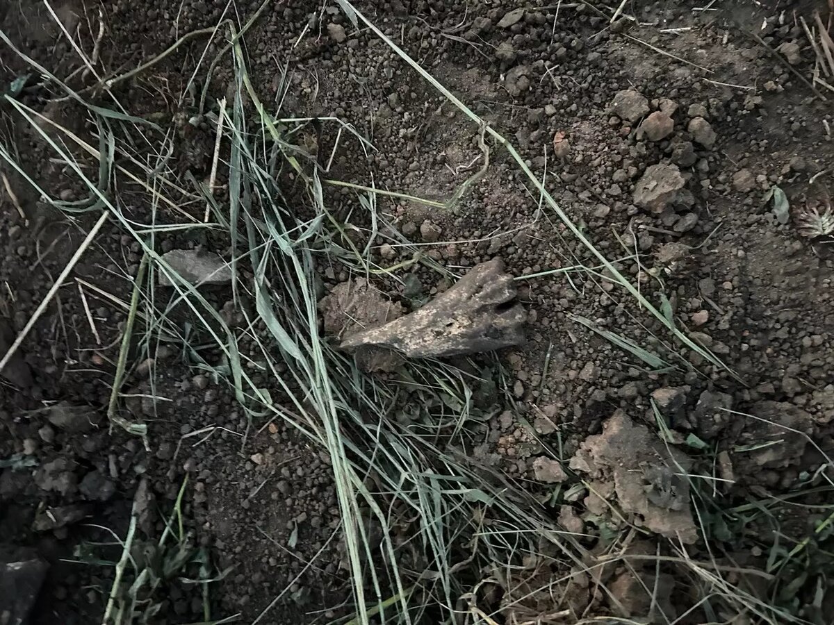     Источник: фото предоставлены читателем Properm.ru