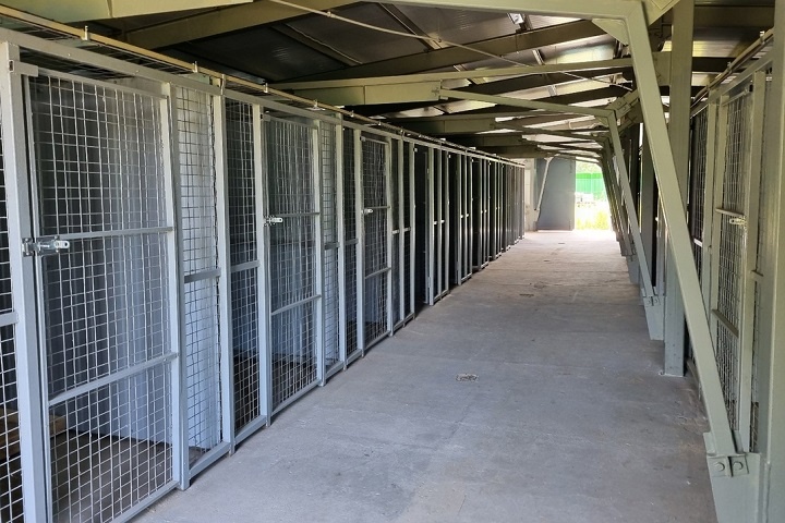 Муниципальный приют для животных в Ярославле планируют открыть в сентябре. ФОТО: страница Екатерины Мусиновой ВКонтакте