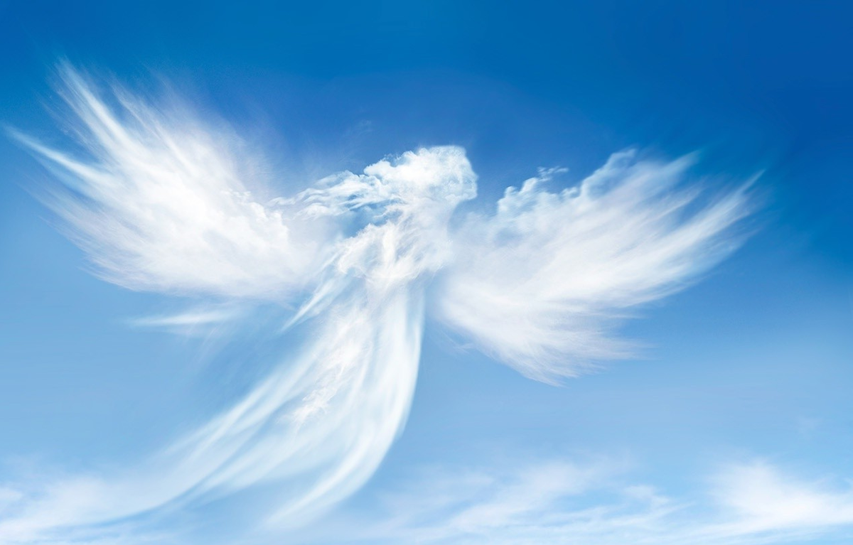 фото из интернета