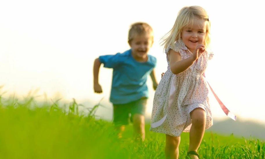 Из открытых источников интернета.