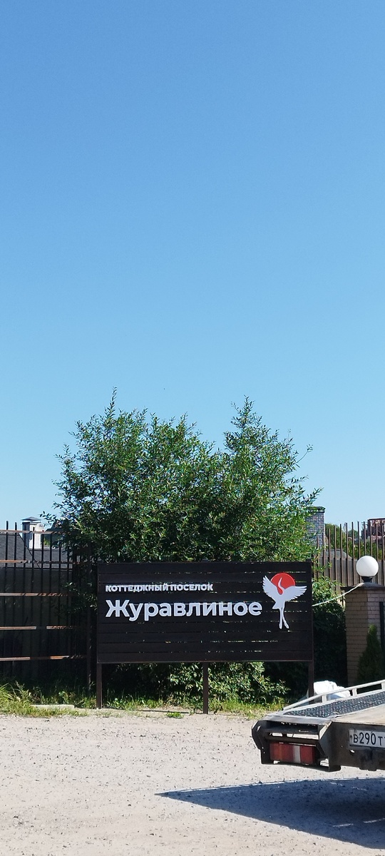 Не видела в области журавлей. 