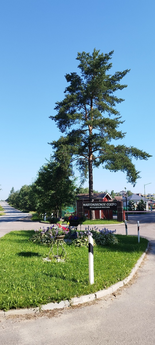 Почему-то вспомнился Геленджик. 