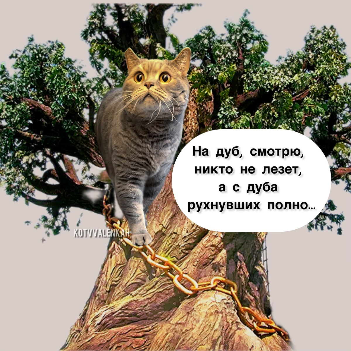 Дуб зеленый