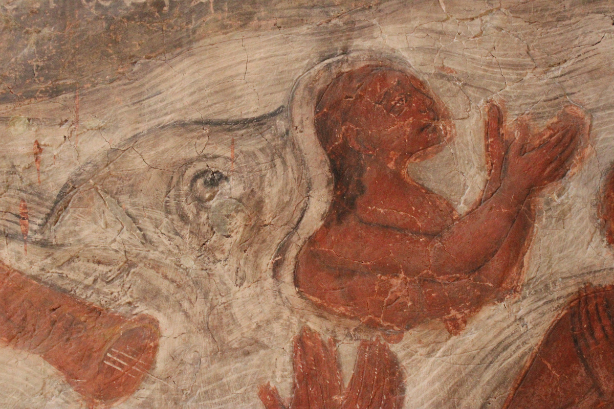 Рыбы пожирают