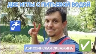 ДВЕ АБИССИНСКИЕ ИГЛЫ С ПИТЬЕВОЙ ВОДОЙ 🚰👌