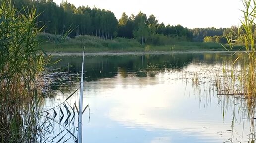 Рыбалка 26,07,2024, Озеро Рязановское, Смоленский раон.