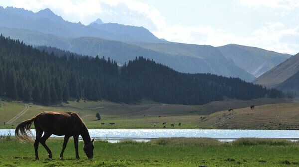    © AFP / VYACHESLAV OSELEDKO