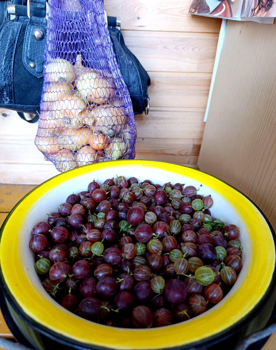 Все фото автора. 