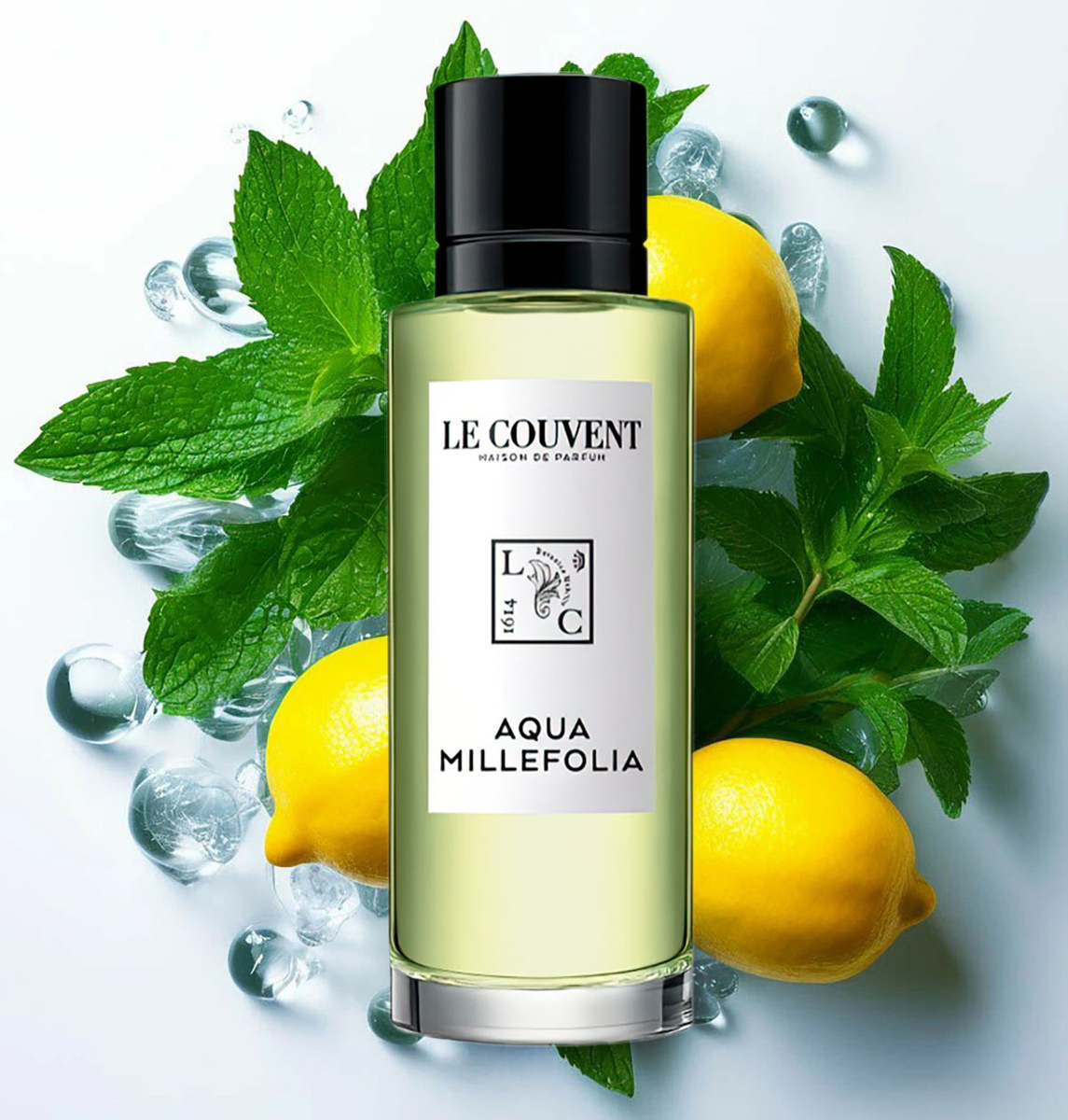 группа: цитрусовые, фужерные верхние ноты: цитрон, мята
средняя нота: вербена
базовая нота: гваяк
выпущен в 2020 году
парфюмер: Jean-Claude Ellena