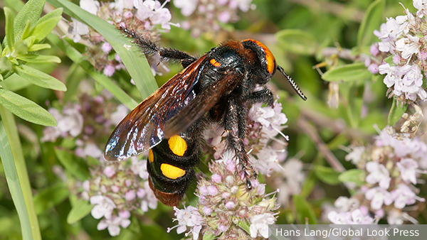     Фото: Hans Lang/Global Look Press   
 Текст: Александра Юдина