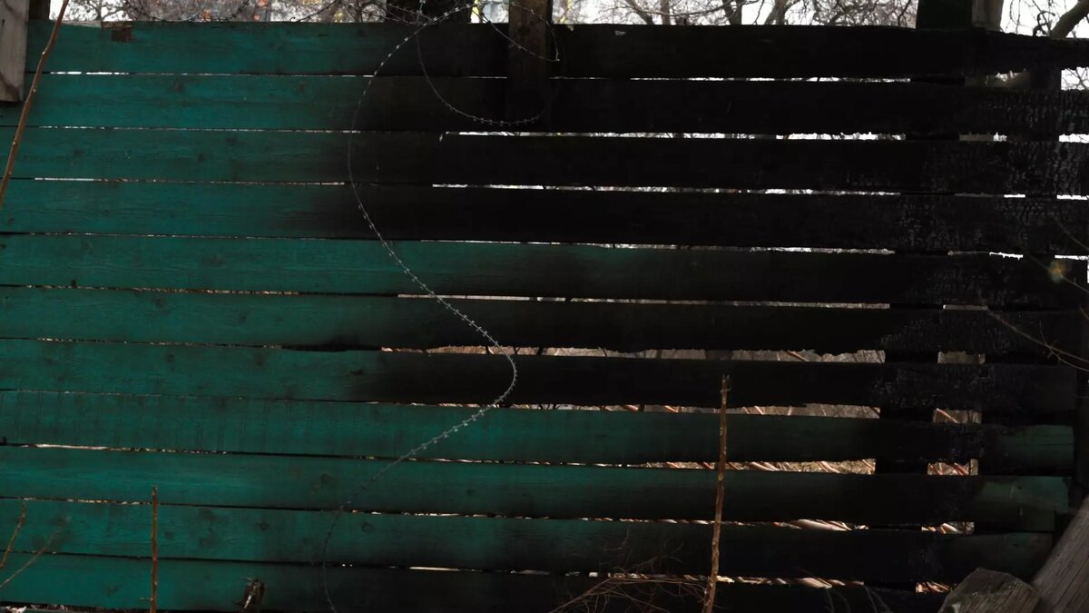     Источник: 1MI