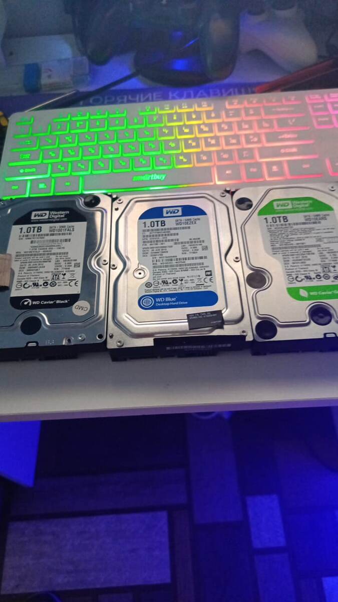 ВОт они мои красавцы.