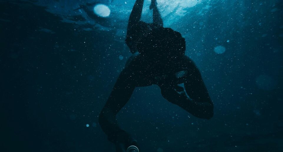    Unsplash